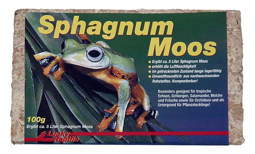 Sphagnum-Moos
